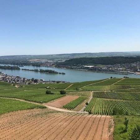 Ruedesheimer Wohlfuehloase Ruedesheim am Rhein Ngoại thất bức ảnh